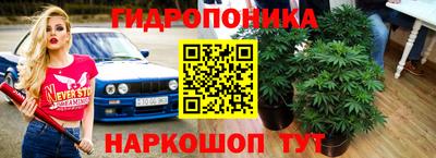 гидра Кунгур